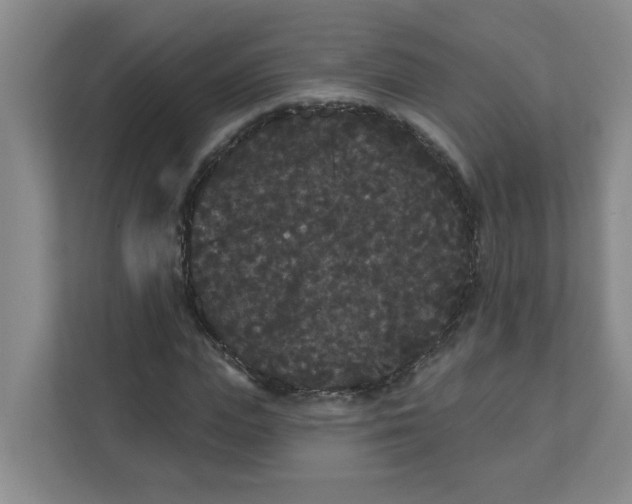 X0000111420823200908031303