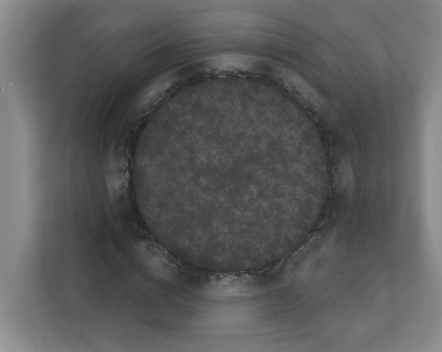 X0000111420824200908031303