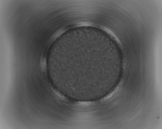 X0000111420825200908031303