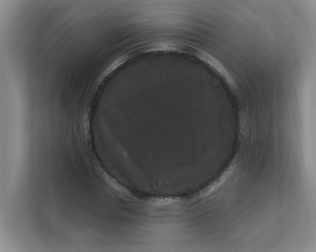 X0000111420826200908031303