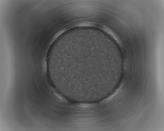 X0000111420829200908031303