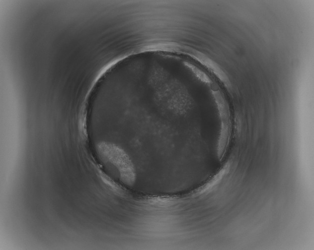 X0000111420830200908031303