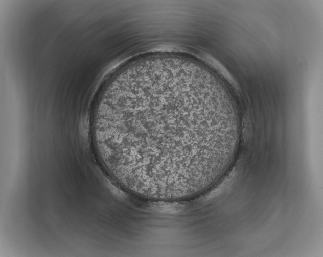 X0000111420831200908031303