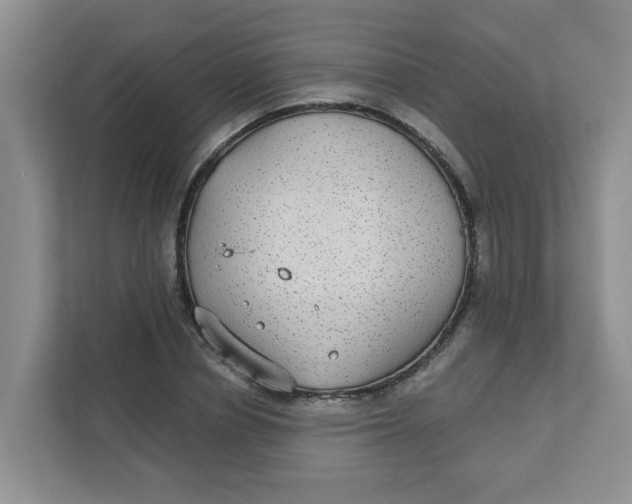 X0000111420834200908031303