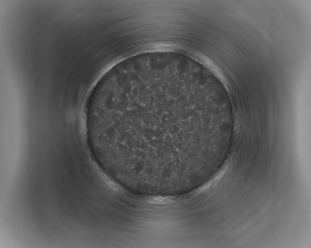 X0000111420835200908031303