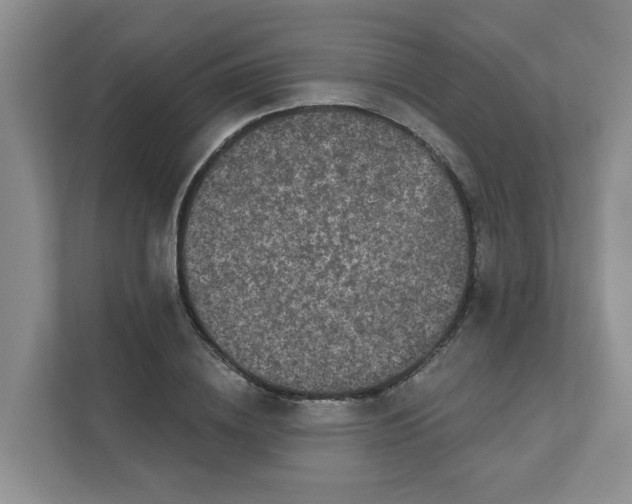 X0000111420836200908031303