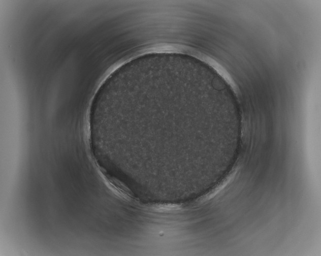 X0000111420837200908031303