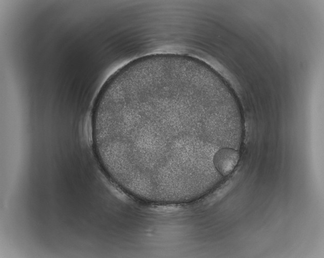 X0000111420838200908031303