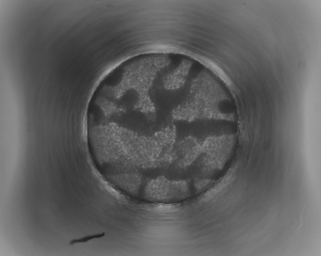 X0000111420839200908031303