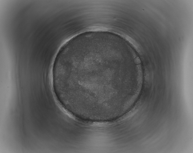 X0000111420840200908031303