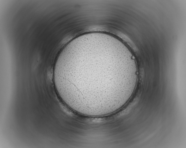 X0000111420841200908031303