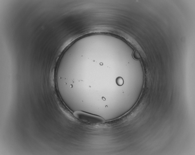 X0000111420842200908031303