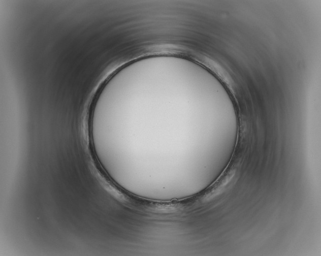 X0000111420843200908031303