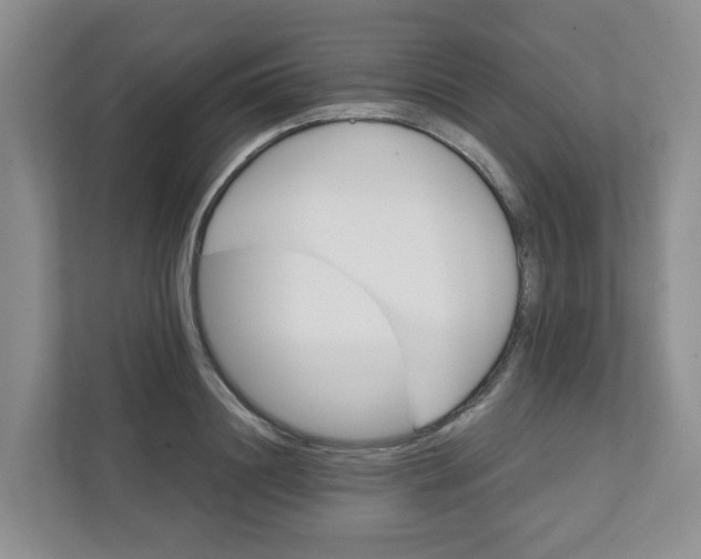 X0000111420844200908031303