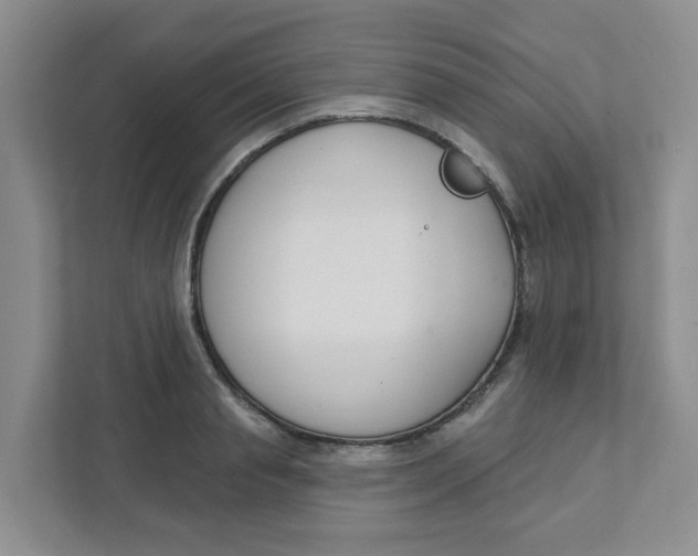 X0000111420845200908031303