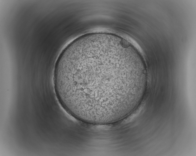 X0000111420847200908031303