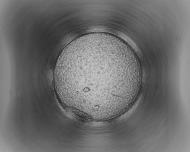 X0000111420849200908031303