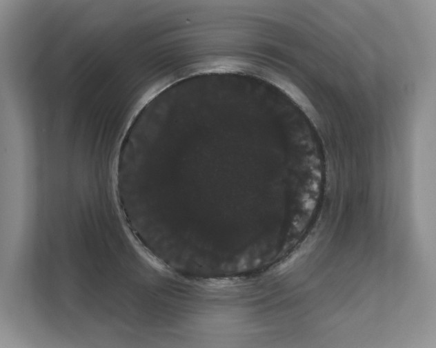 X0000111420850200908031303