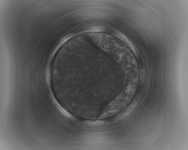 X0000111420851200908031303