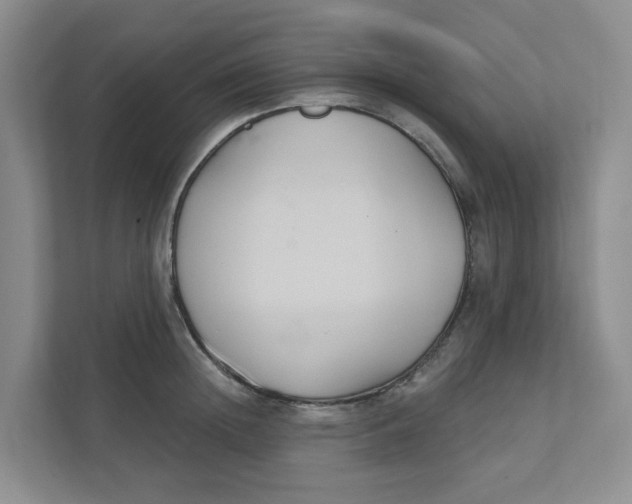 X0000111420852200908031303