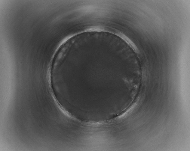 X0000111420854200908031303