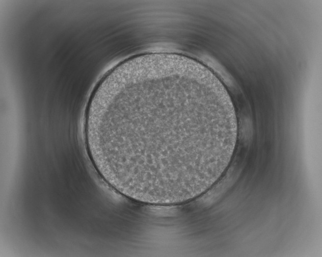 X0000111420856200908031303