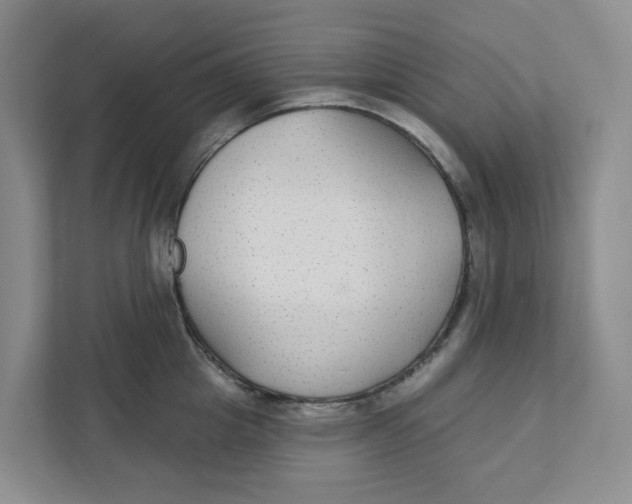 X0000111420857200908031303