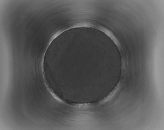 X0000111420858200908031303