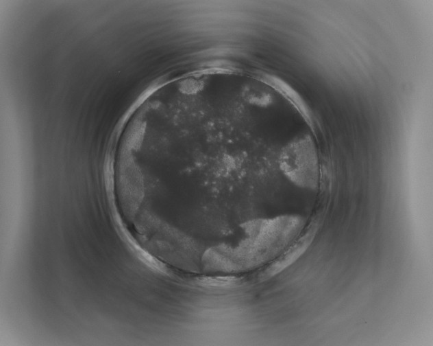 X0000111420859200908031303