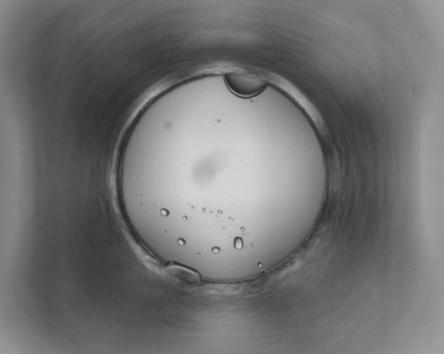 X0000111420861200908031303