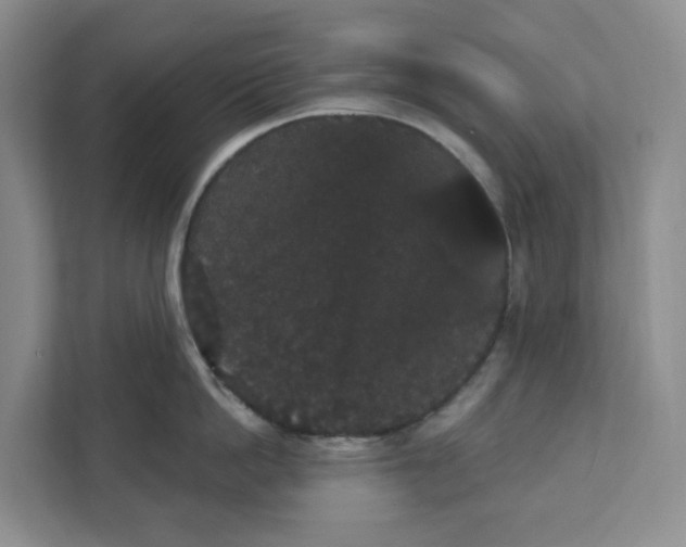 X0000111420862200908031303