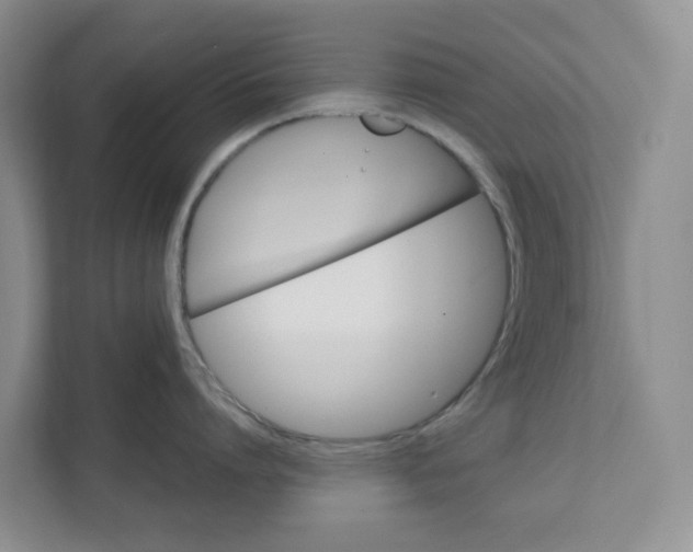 X0000111420864200908031303