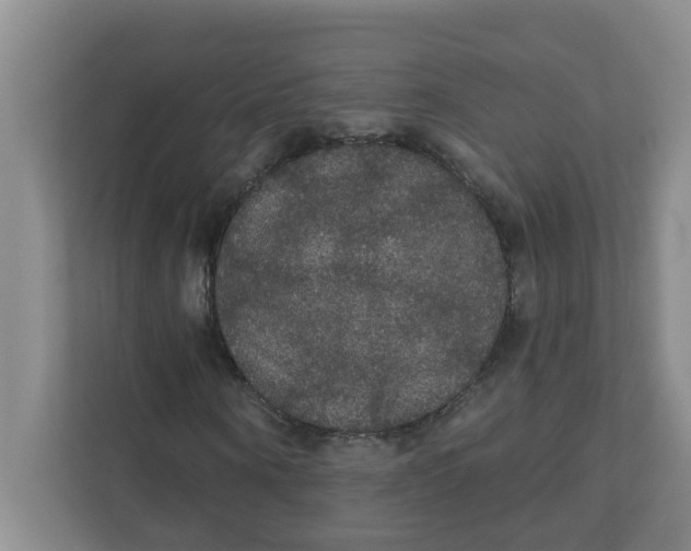 X0000111420866200908031303