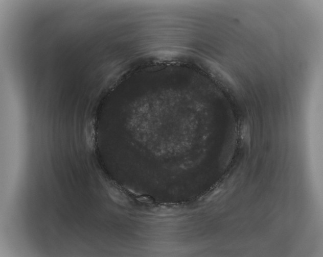 X0000111420868200908031303