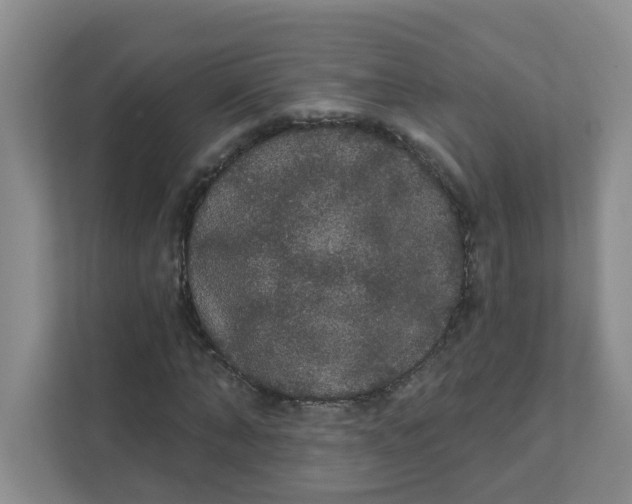 X0000111420870200908031303