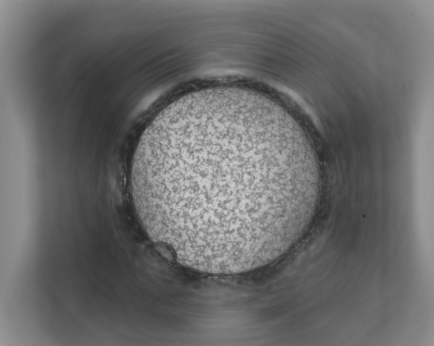 X0000111420871200908031303