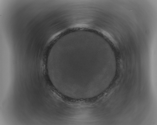 X0000111420872200908031303