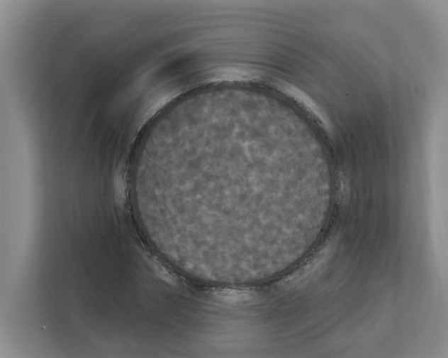 X0000111420874200908031303