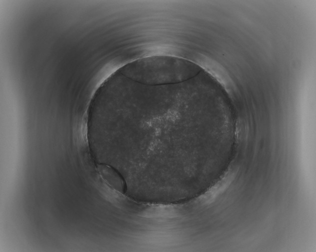 X0000111420877200908031303