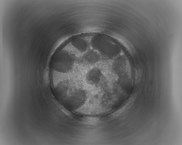 X0000111420878200908031303