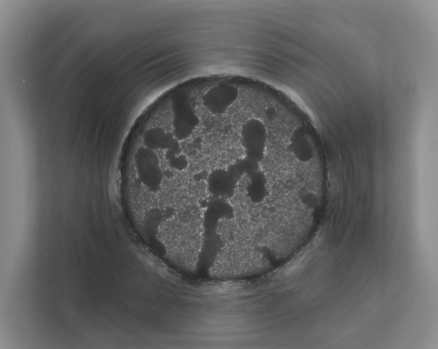 X0000111420879200908031303