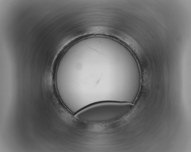 X0000111420880200908031303