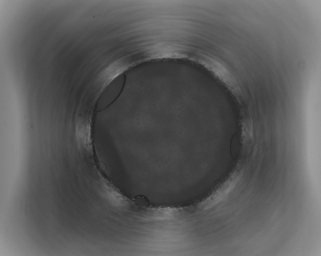 X0000111420881200908031303