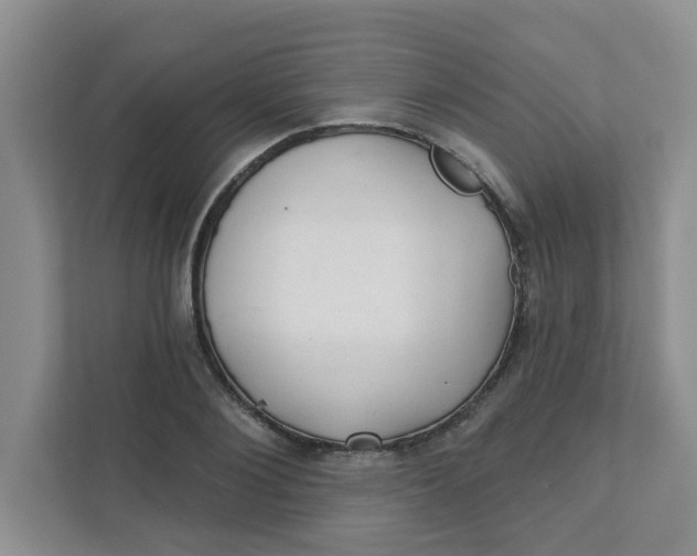 X0000111420884200908031303