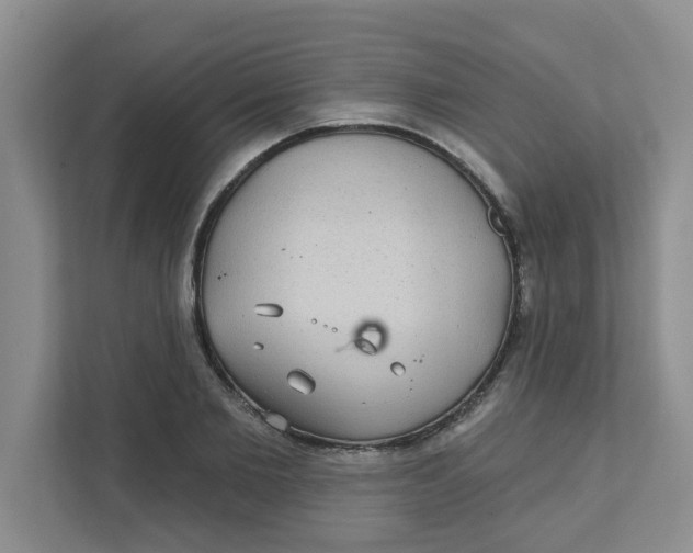 X0000111420885200908031303