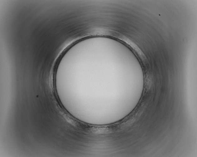 X0000111420886200908031303