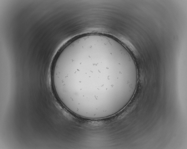 X0000111420888200908031302