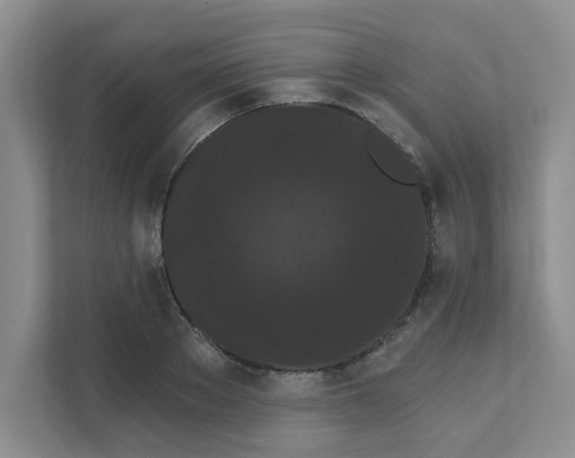 X0000111420889200908031302