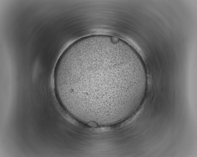 X0000111420891200908031302