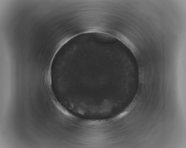 X0000111420892200908031302